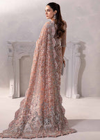 Maria B Embroidered Net Saree – Elegance Redefined ✨ - Shiwani Apparels